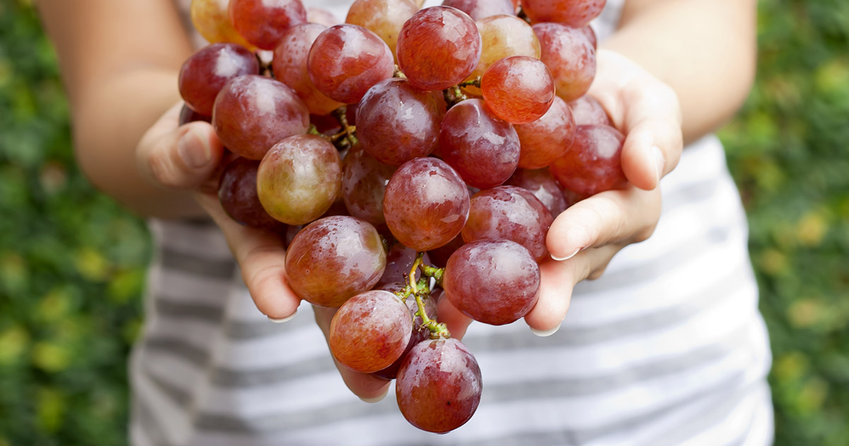 Grapes-(1) Grapes-(1)