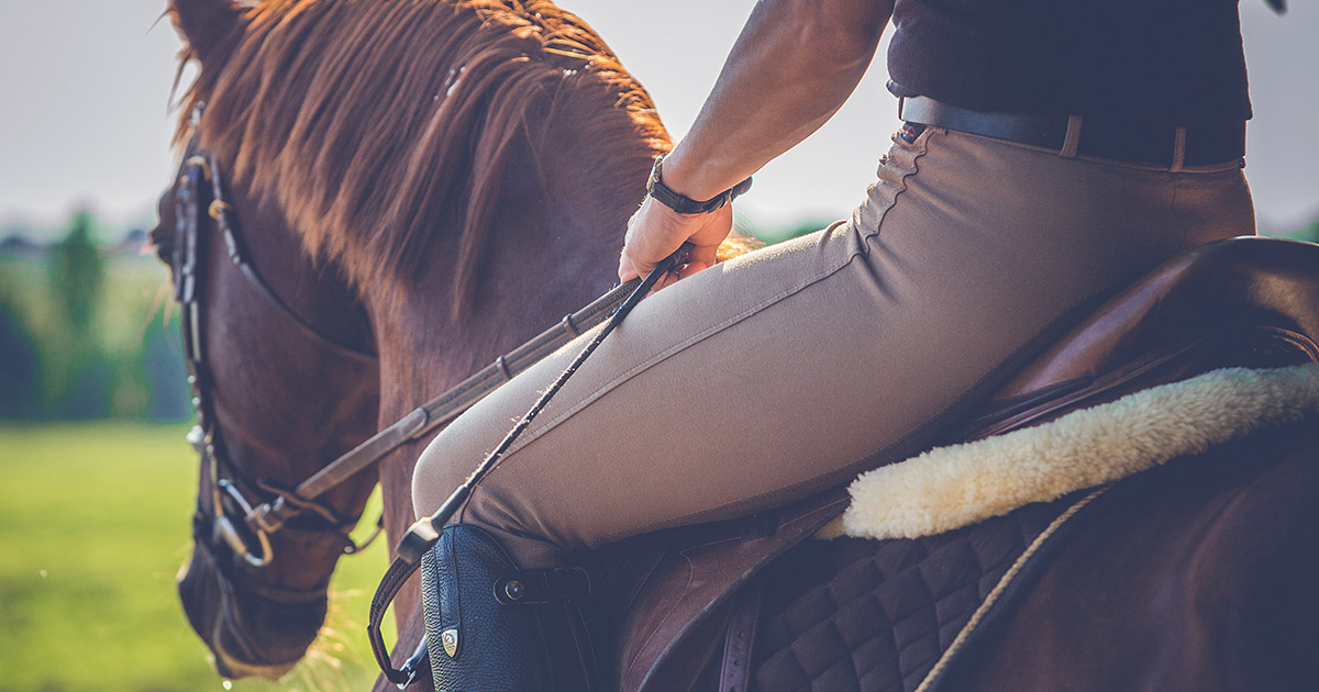 Horse-Riding Horse-Riding
